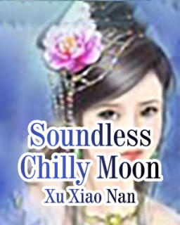 Soundless Chilly Moon